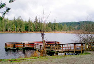 Public dock at Lake Leland