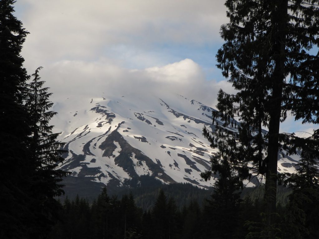 Snowy peaks of the nearby Olympic Mountains